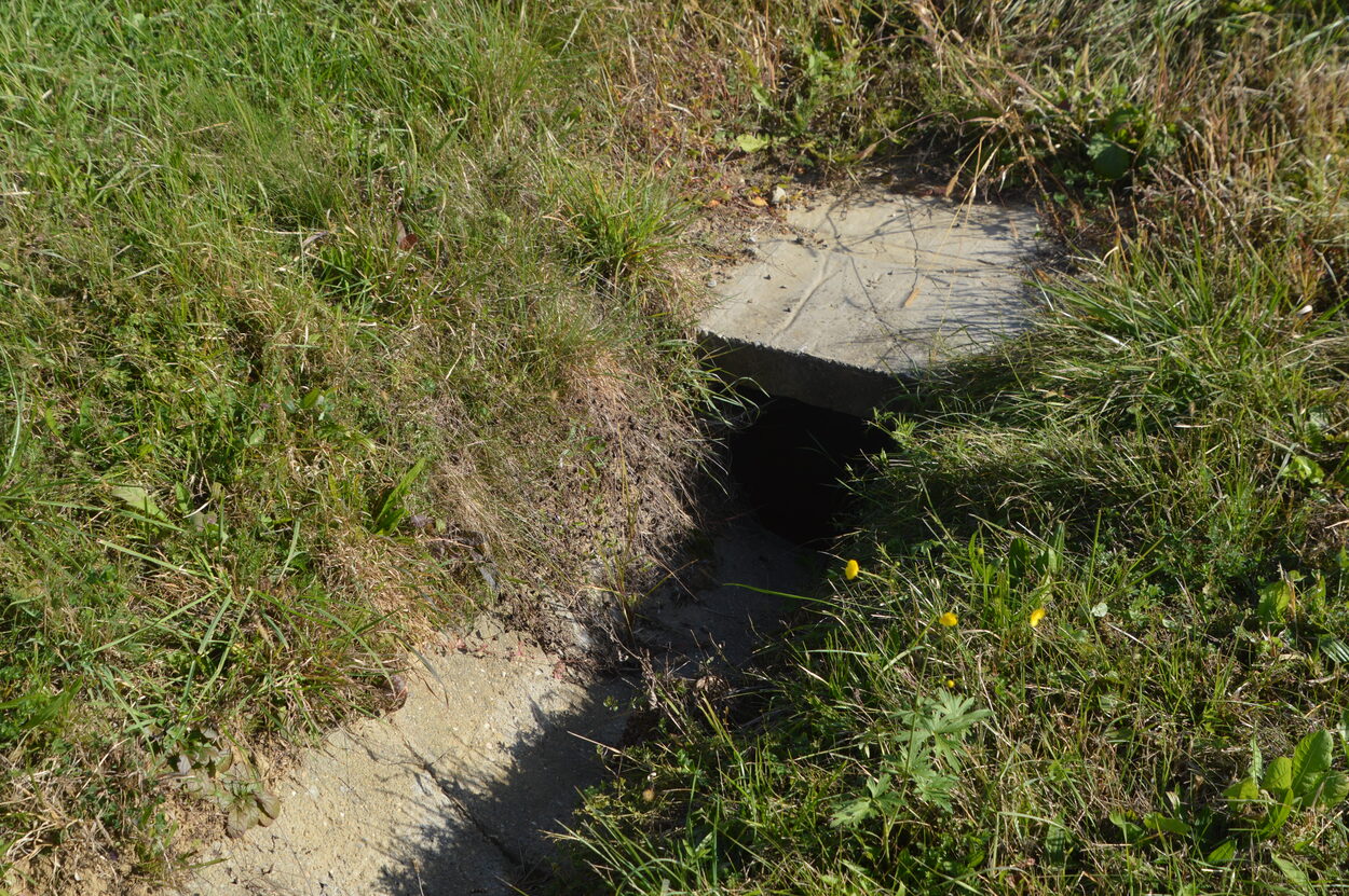 Wasserdurchsättigter Hang gefährdet den Bahndamm im Bereich Oedt. 