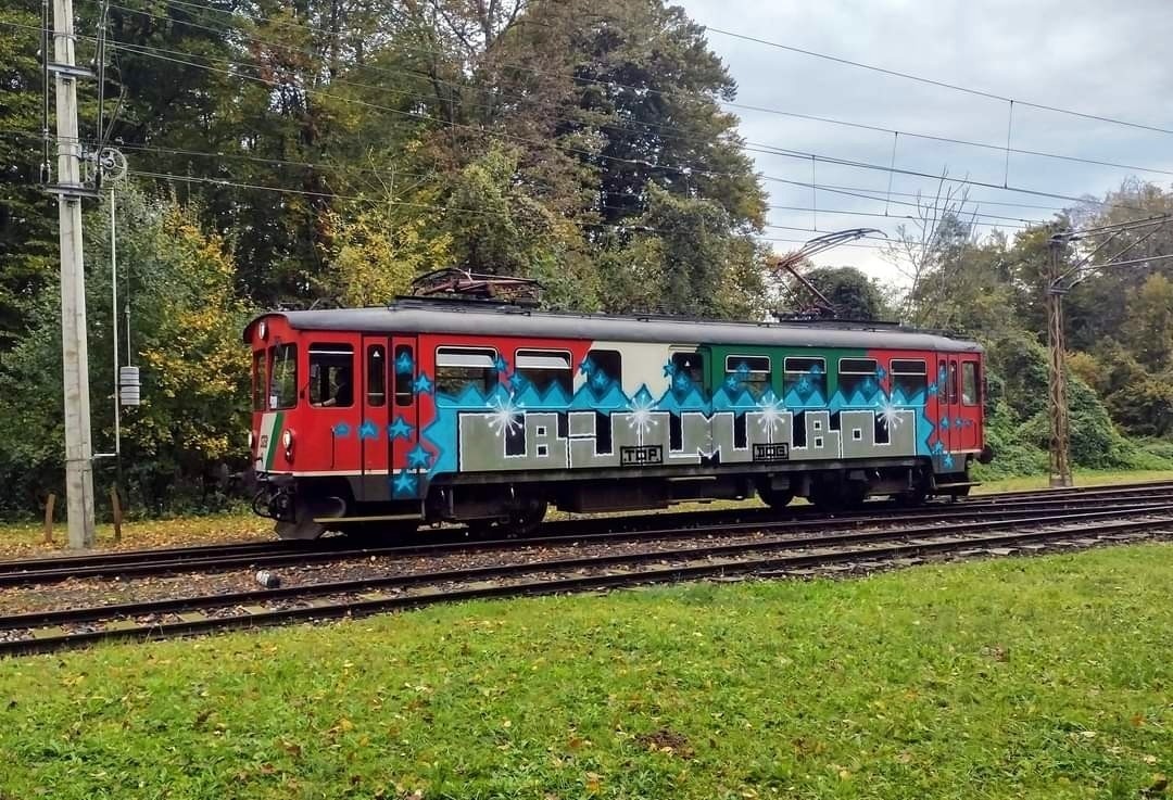 Graffiti-Vandalismus: Schmierereien an der Gleichenbergerbahn