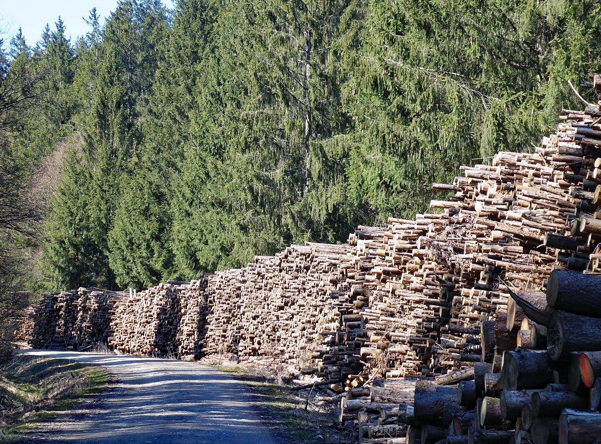 historische Waldbahnen Kobernaußerwald