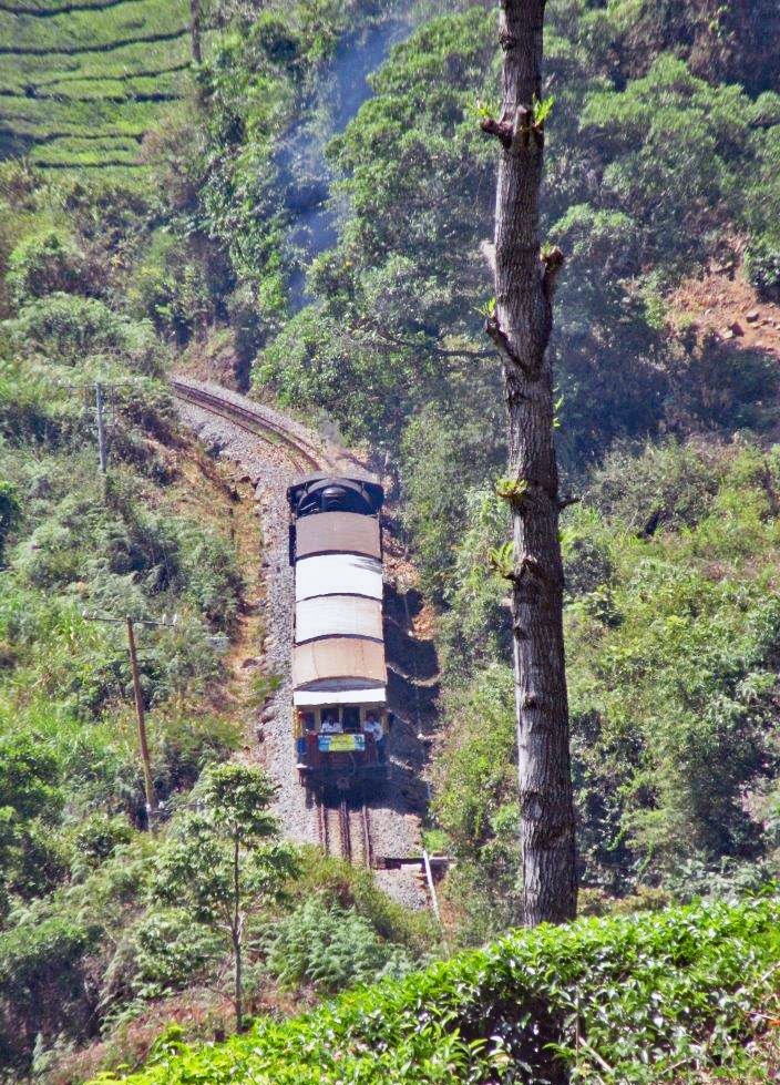 Zahnradbahn als UNESCO Welterbe, Nilgiri Mountain Railway 